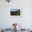 Waterside Cottage, Inveruglas, Loch Lomond, Stirling, Scotland, United Kingdom, Europe-Peter Richardson-Framed Photographic Print displayed on a wall