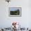 Waterside Cottage, Inveruglas, Loch Lomond, Stirling, Scotland, United Kingdom, Europe-Peter Richardson-Framed Photographic Print displayed on a wall