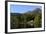 Waterside Cottage, Inveruglas, Loch Lomond, Stirling, Scotland, United Kingdom, Europe-Peter Richardson-Framed Photographic Print