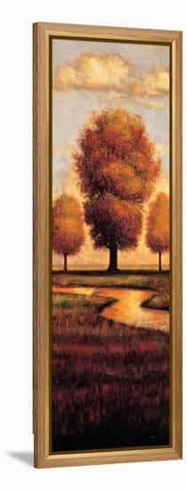 Waterside I-Gregory Williams-Framed Stretched Canvas