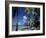 Waterside Restaurant Beneath Palms, Old Man Bay, Grand Cayman, Cayman Islands, West Indies-Ruth Tomlinson-Framed Photographic Print