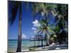 Waterside Restaurant Beneath Palms, Old Man Bay, Grand Cayman, Cayman Islands, West Indies-Ruth Tomlinson-Mounted Photographic Print