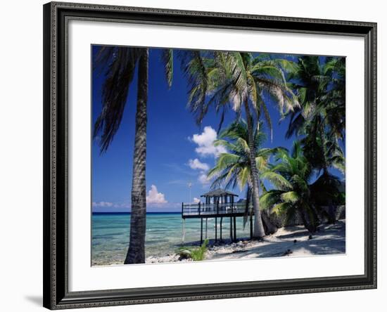 Waterside Restaurant Beneath Palms, Old Man Bay, Grand Cayman, Cayman Islands, West Indies-Ruth Tomlinson-Framed Photographic Print