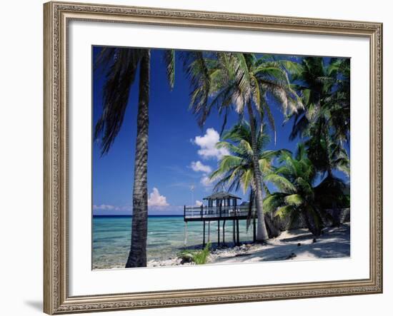 Waterside Restaurant Beneath Palms, Old Man Bay, Grand Cayman, Cayman Islands, West Indies-Ruth Tomlinson-Framed Photographic Print