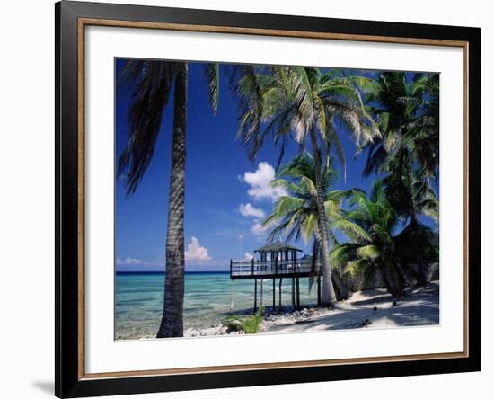 Waterside Restaurant Beneath Palms, Old Man Bay, Grand Cayman, Cayman Islands, West Indies-Ruth Tomlinson-Framed Photographic Print