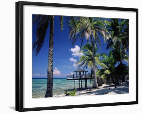 Waterside Restaurant Beneath Palms, Old Man Bay, Grand Cayman, Cayman Islands, West Indies-Ruth Tomlinson-Framed Photographic Print