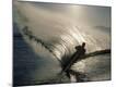 Photographic Print