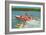 Waterskiing on the Lake, Retro-null-Framed Art Print