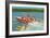 Waterskiing on the Lake, Retro-null-Framed Art Print