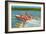 Waterskiing on the Lake, Retro-null-Framed Premium Giclee Print