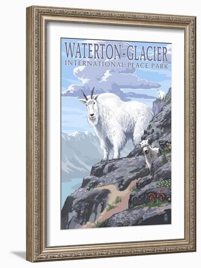 Waterton-Glacier International Peace Park - Mountain Goat and Baby-Lantern Press-Framed Art Print