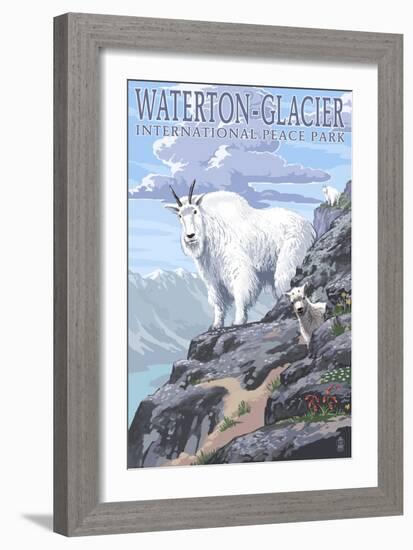 Waterton-Glacier International Peace Park - Mountain Goat and Baby-Lantern Press-Framed Art Print