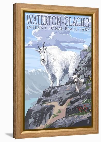 Waterton-Glacier International Peace Park - Mountain Goat and Baby-Lantern Press-Framed Stretched Canvas