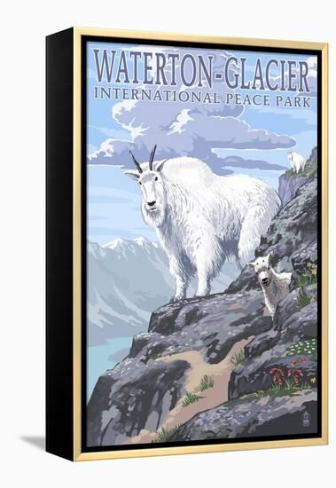 Waterton-Glacier International Peace Park - Mountain Goat and Baby-Lantern Press-Framed Stretched Canvas