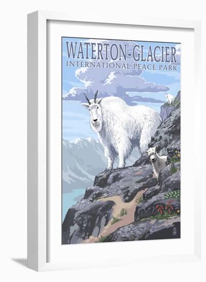 Waterton-Glacier International Peace Park - Mountain Goat and Baby-Lantern Press-Framed Premium Giclee Print