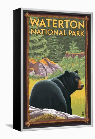 Waterton National Park, Canada - Bear in Forest-Lantern Press-Framed Stretched Canvas