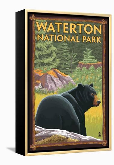 Waterton National Park, Canada - Bear in Forest-Lantern Press-Framed Stretched Canvas