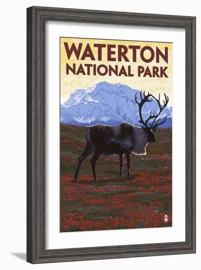 Waterton National Park, Canada - Caribou & Mountain-Lantern Press-Framed Art Print