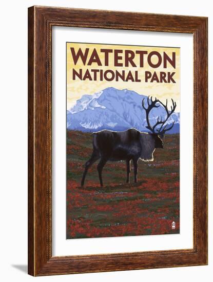 Waterton National Park, Canada - Caribou & Mountain-Lantern Press-Framed Art Print