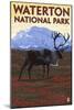 Waterton National Park, Canada - Caribou & Mountain-Lantern Press-Mounted Art Print