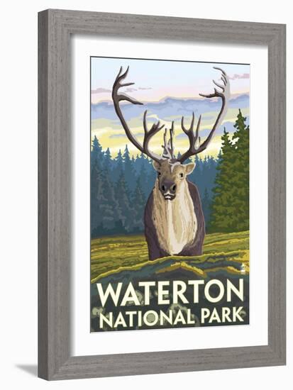 Waterton National Park, Canada - Caribou-Lantern Press-Framed Art Print