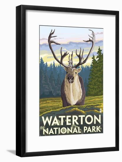 Waterton National Park, Canada - Caribou-Lantern Press-Framed Art Print