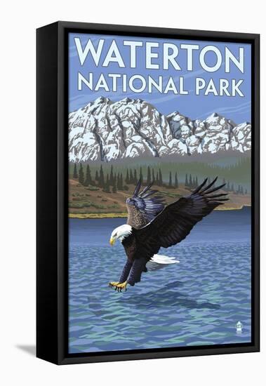 Waterton National Park, Canada - Eagle Fishing-Lantern Press-Framed Stretched Canvas