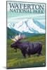 Waterton National Park, Canada - Moose and Mountain-Lantern Press-Mounted Art Print