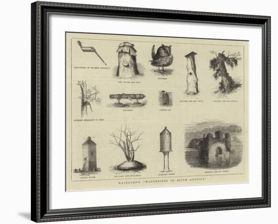 Waterton's Wanderings in South America-null-Framed Giclee Print