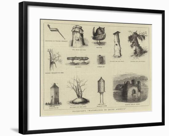 Waterton's Wanderings in South America-null-Framed Giclee Print