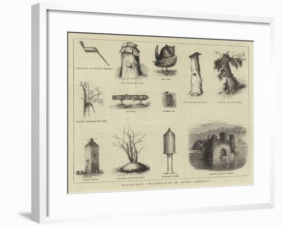 Waterton's Wanderings in South America-null-Framed Giclee Print