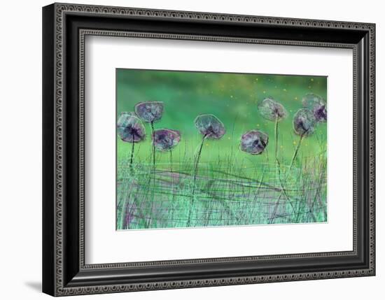 Watery Flower show-Claire Westwood-Framed Art Print