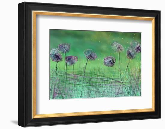 Watery Flower show-Claire Westwood-Framed Art Print