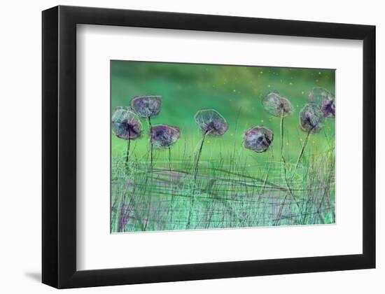 Watery Flower show-Claire Westwood-Framed Art Print