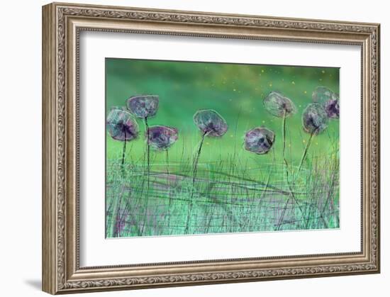 Watery Flower show-Claire Westwood-Framed Art Print