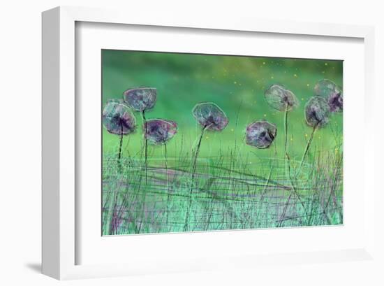 Watery Flower show-Claire Westwood-Framed Art Print