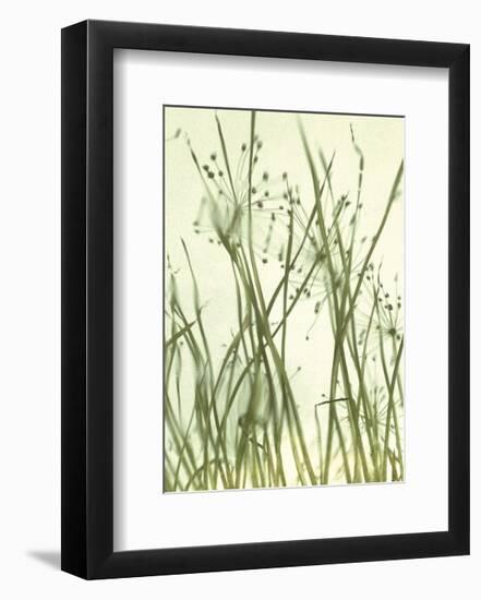 Watery Grasses 1-Jenny Kraft-Framed Art Print