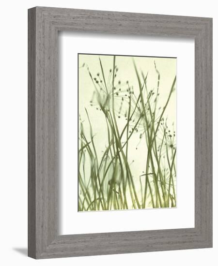 Watery Grasses 1-Jenny Kraft-Framed Art Print