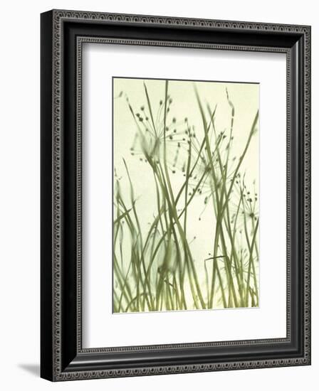 Watery Grasses 1-Jenny Kraft-Framed Art Print