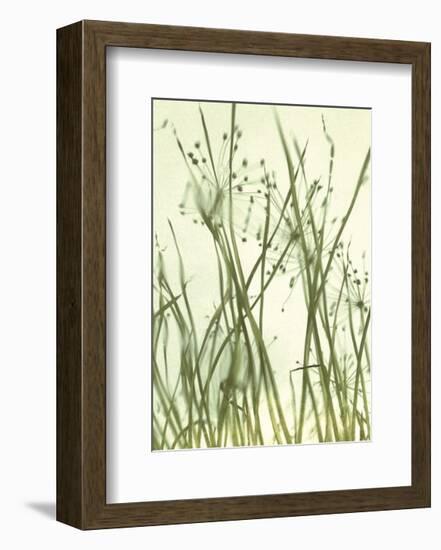 Watery Grasses 1-Jenny Kraft-Framed Art Print