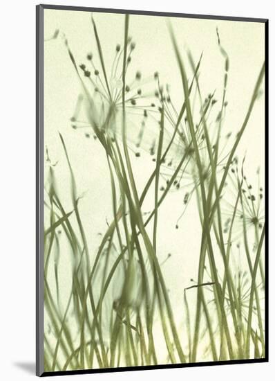 Watery Grasses 1-Jenny Kraft-Mounted Art Print