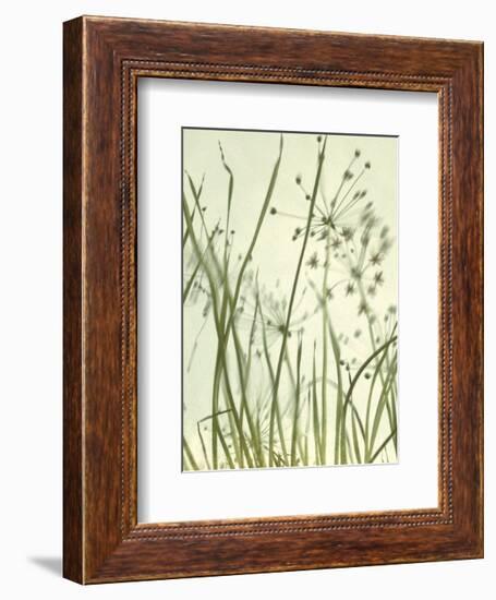 Watery Grasses 2-Jenny Kraft-Framed Art Print