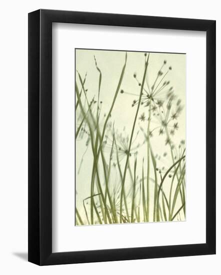 Watery Grasses 2-Jenny Kraft-Framed Art Print