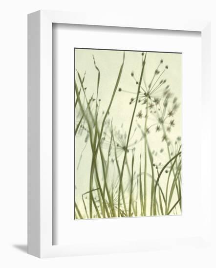 Watery Grasses 2-Jenny Kraft-Framed Art Print