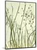 Watery Grasses 2-Jenny Kraft-Mounted Art Print