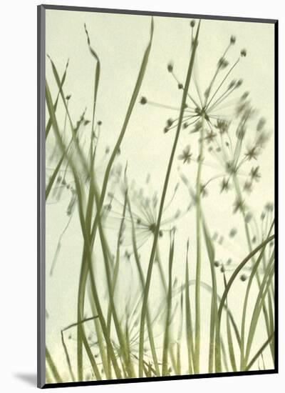 Watery Grasses 2-Jenny Kraft-Mounted Art Print