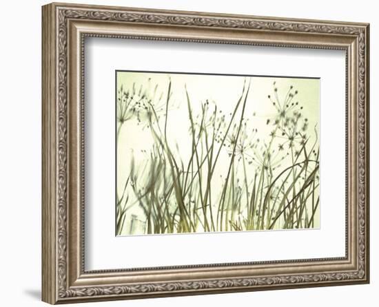 Watery Grasses 3-Jenny Kraft-Framed Art Print