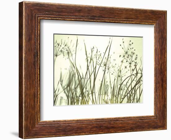 Watery Grasses 3-Jenny Kraft-Framed Art Print