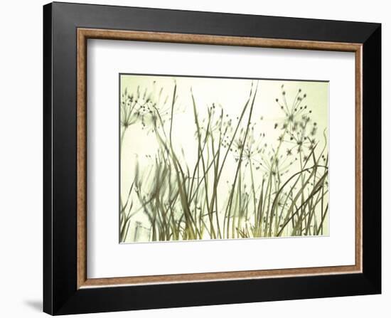 Watery Grasses 3-Jenny Kraft-Framed Art Print