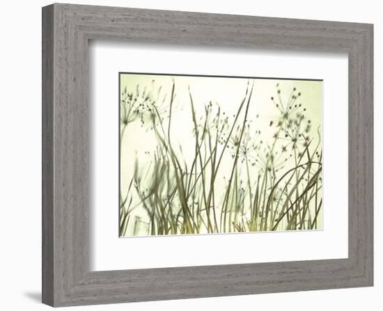 Watery Grasses 3-Jenny Kraft-Framed Art Print